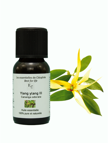 huile essentielle d' Ylang-ylang III