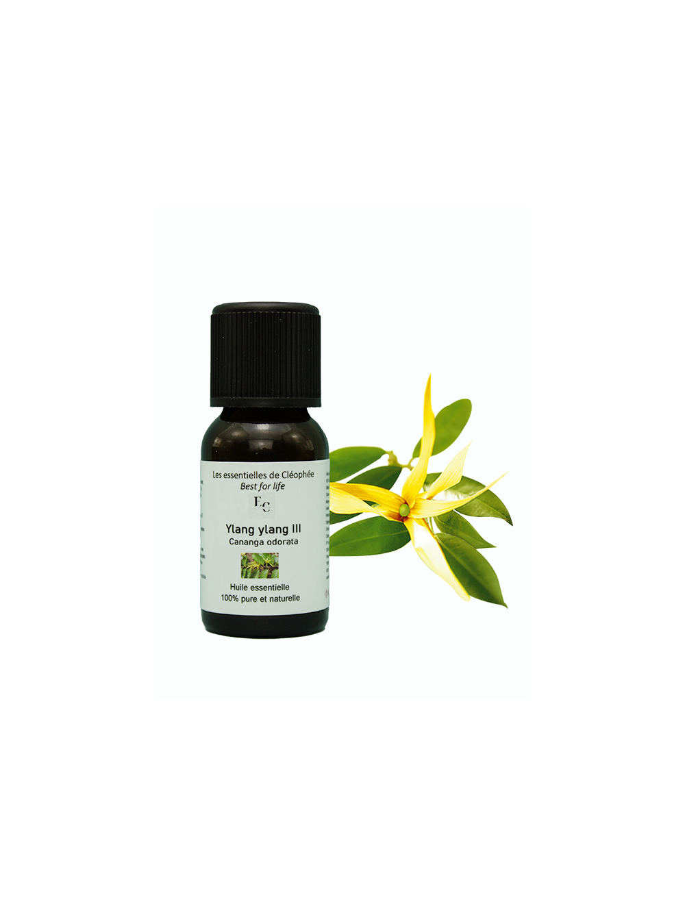 huile essentielle d' Ylang-ylang III