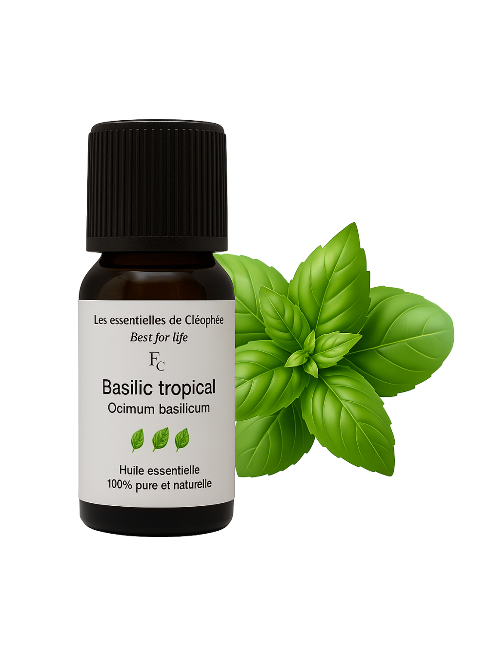 Huile essentielle de Basilic tropical bio Huile essentielle de Basilic tropical bio