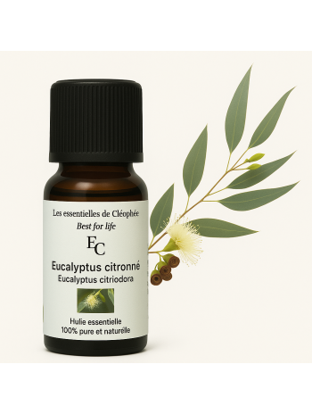 Huile essentielle d' Eucalyptus citronné