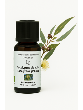 Huile essentielle d' Eucalyptus globulus bio