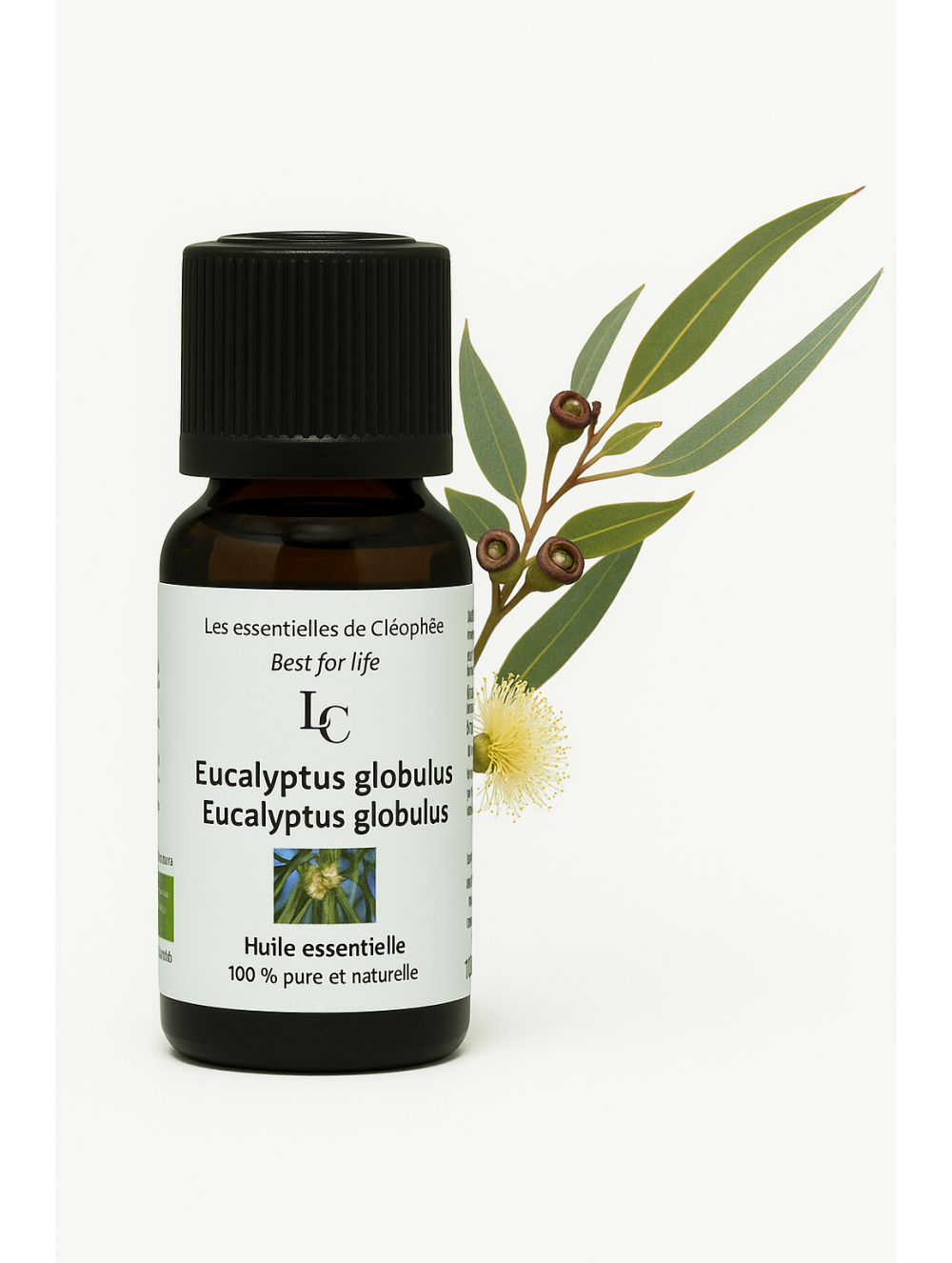 Huile essentielle d' Eucalyptus globulus bio