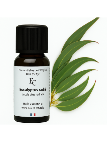 Huile essentielle d' Eucalyptus radié