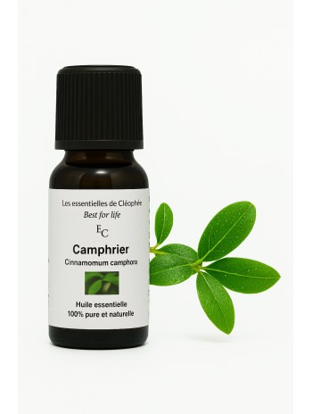 huile essentielle de Camphrier