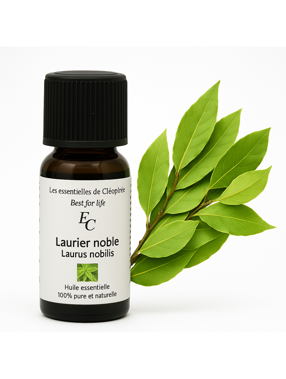 Huile essentielle de Laurier noble bio Huile essentielle de Laurier noble bio