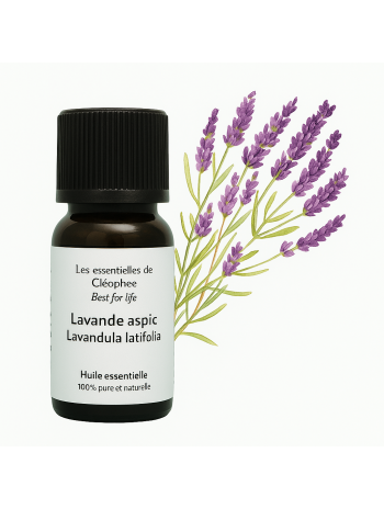 huile essentielle de Lavande aspic