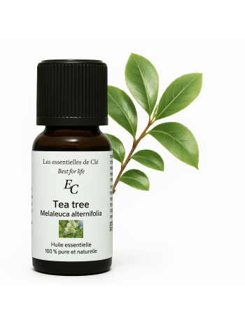huile essentielle Tea tree