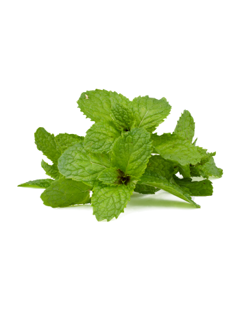Huile essentielle de Menthe poivrée
