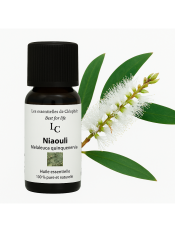 Huile essentielle de Niaouli