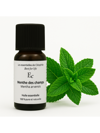 Huile essentielle de Menthe des champs