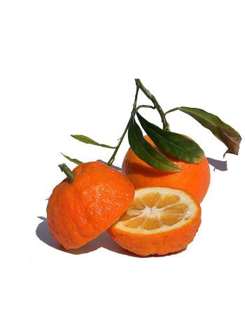 Citrus aurantium amara flowers oil